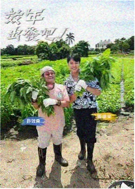 周末厨房综艺封面