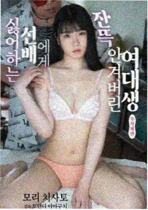 山城档案剧集封面